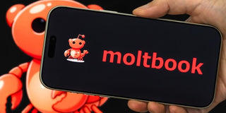 Moltbook Explained